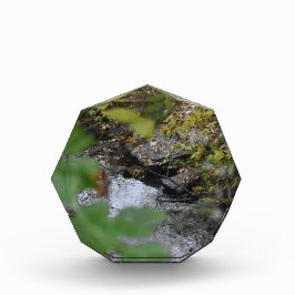 Die Verzauberungen der Erde Fotoblock