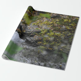 Die Verzauberungen der Erde Geschenkpapier