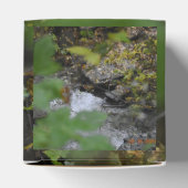 Die Verzauberungen der Erde Geschenkschachtel (Oben)