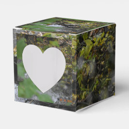 Die Verzauberungen der Erde Geschenkschachtel