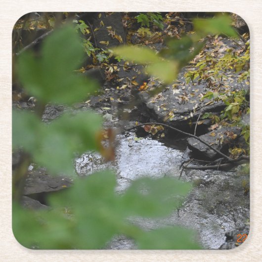 Die Verzauberungen der Erde Rechteckiger Pappuntersetzer (Vorderseite)