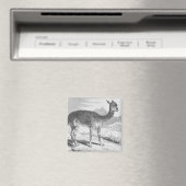 Die Vicuna am Rio de Azufre Magnet (In Situ (Geschirrspüler))