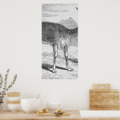 Die Vicuna am Rio de Azufre Poster (Küche)