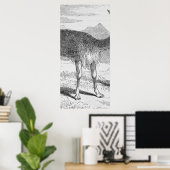 Die Vicuna am Rio de Azufre Poster (Heimbüro)