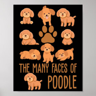 Die vielen Gesichter des Poodle für Hunde länger Poster