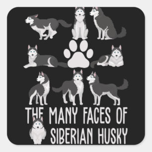 Die vielen Gesichter des sibirischen Huskys für Hu Quadratischer Aufkleber