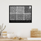 Die Vielfalt der martianischen Bodenarten im Adler Poster (Küche)