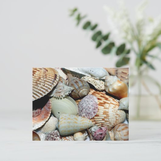 Die Vielfalt der Seashells am Foto Postkarte (Stehend Vorderseite)
