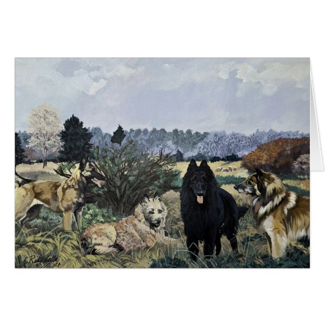 Die vier belgischen Karten (Vorderseite (Horizontal))