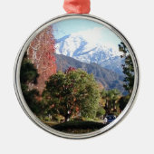 Die vier Jahreszeiten Silbernes Ornament (Vorne)