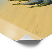 Die vier Tannenarten, Botanik. Poster (Ecke)