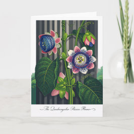 Die vierkantige Passionsblume Moderne Botanik Karte