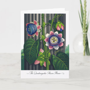 Die vierkantige Passionsblume Moderne Botanik Karte