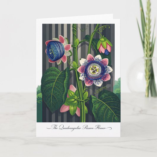 Die vierkantige Passionsblume Moderne Botanik Karte (Vorderseite)
