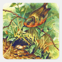 Die Vintage-Illustration des Rotkehlchens
