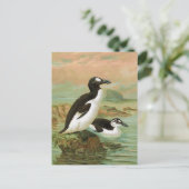 Die Vintage Vogelillustrierung des Weltkulturerbes Postkarte (Stehend Vorderseite)