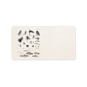 Die Vintagen 1800s, die Fliegen-Fischen angeln, Adressaufkleber