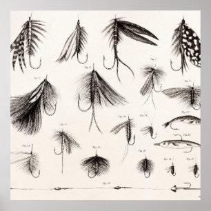 Die Vintagen 1800s, die Fliegen-Fischen angeln, Poster