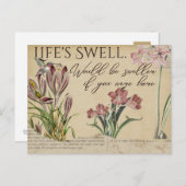 Die Vintagen Postkarten von Swell Hummingbird im L (Vorne/Hinten)