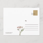 Die Vintagen Postkarten von Swell Hummingbird im L (Rückseite)