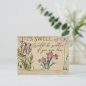 Die Vintagen Postkarten von Swell Hummingbird im L (Stehend Vorderseite)