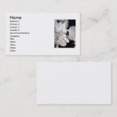 Die Visitenkarte des Fotografen (Vorne/Hinten)