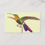 Die Visitenkarte des Kolibri-Liebhabers - bunt (Rückseite)