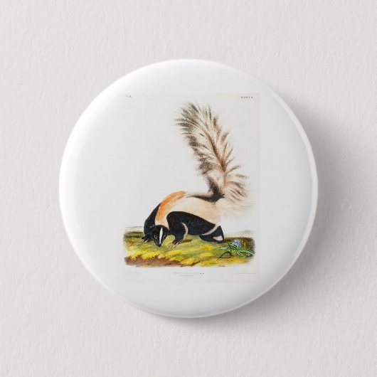 die viviparous vierrupts von John James Audubon Button (Vorderseite)