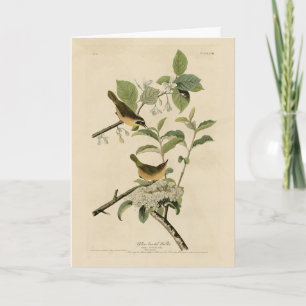 Die Vögel Amerikas von Warbler Audubon Karte