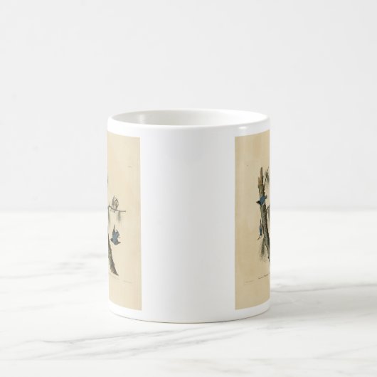 Die Vögel Amerikas von White Breasted Nuthatch Aud Kaffeetasse (Mittel)