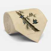 Die Vögel Amerikas von White Breasted Nuthatch Aud Krawatte (Gerollt)