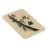 Die Vögel Amerikas von White Breasted Nuthatch Aud Magnet (Rechte Seite)