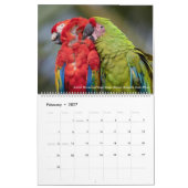 Die Vogel-Fotografie von Tom-Dorn ~ 2019 Kalender (Feb 2027)