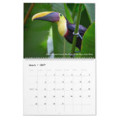 Die Vogel-Fotografie von Tom-Dorn ~ 2019 Kalender (Mär 2027)