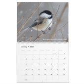Die Vogel-Fotografie von Tom-Dorn ~ 2019 Kalender (Jan 2027)