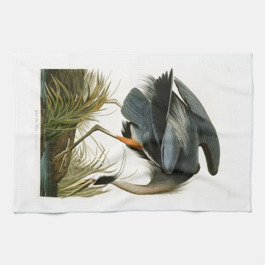 Die Vögel Graureiher-Johns Audubon von Amerika Geschirrtuch (Horizontal)