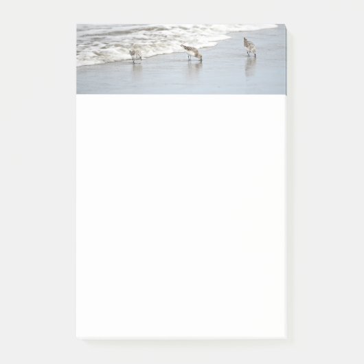 Die Vögel im Meer in den "Surf Post-it Notes" Klebezettel (Vorderseite)