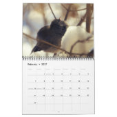 Die Vögel in Ihrem Hinterhof-Kalender Kalender (Feb 2027)