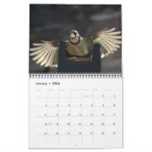 Die Vögel in Ihrem Hinterhof-Kalender Kalender (Jan 2026)