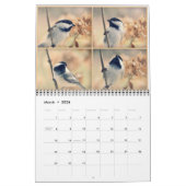 Die Vögel in Ihrem Hinterhof-Kalender Kalender (Mär 2026)