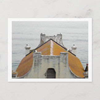 Die Vögel von Alcatraz Postkarte