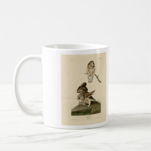 Die Vögel von Audubon in Amerika Kaffeetasse (Links)