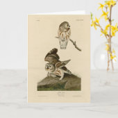 Die Vögel von Audubon in Amerika Karte (Gelbe Blume)