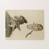 Die Vögel von Audubon in Amerika Puzzle (Horizontal)