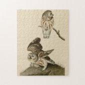 Die Vögel von Audubon in Amerika Puzzle (Vertikal)