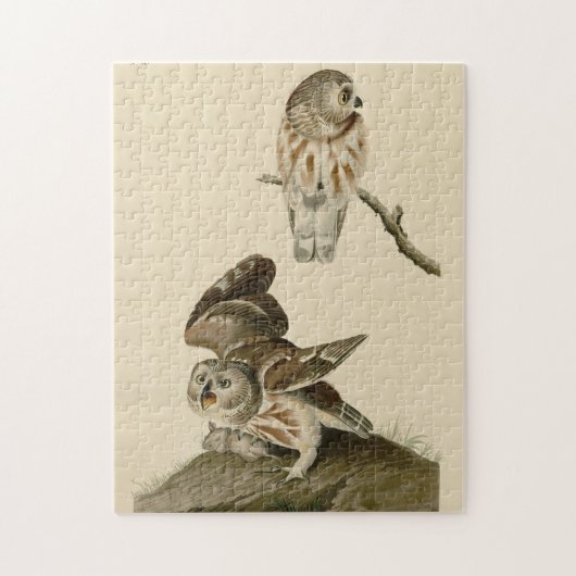 Die Vögel von Audubon in Amerika Puzzle (Vertikal)