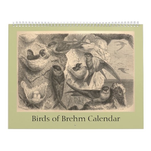 Die Vögel von Brehm Kalender (Titelbild)