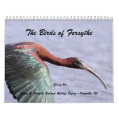 Die Vögel von Forsythe II Kalender (Titelbild)