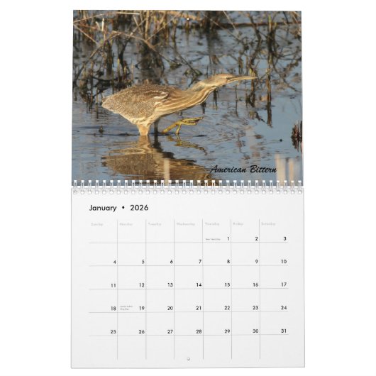 Die Vögel von Forsythe II Kalender (Jan 2026)