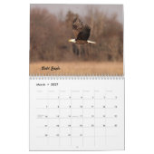 Die Vögel von Forsythe II Kalender (Mär 2027)